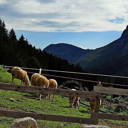 Agriturismo Maso Pertener -Adults Only- Villa Comano Terme Buitenkant foto