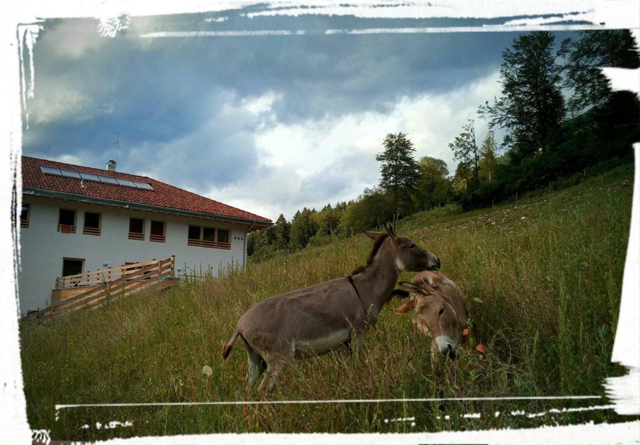 Agriturismo Maso Pertener -Adults Only- Villa Comano Terme Buitenkant foto